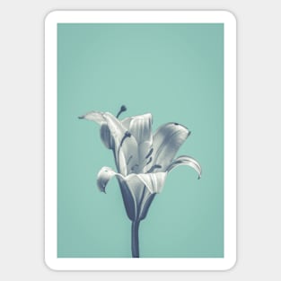 Flower On Blue Design Sticker